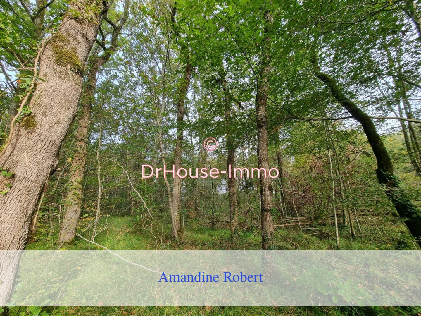 Photo 2 : Vente Terrain Vergt-de-Biron 18385 m²
