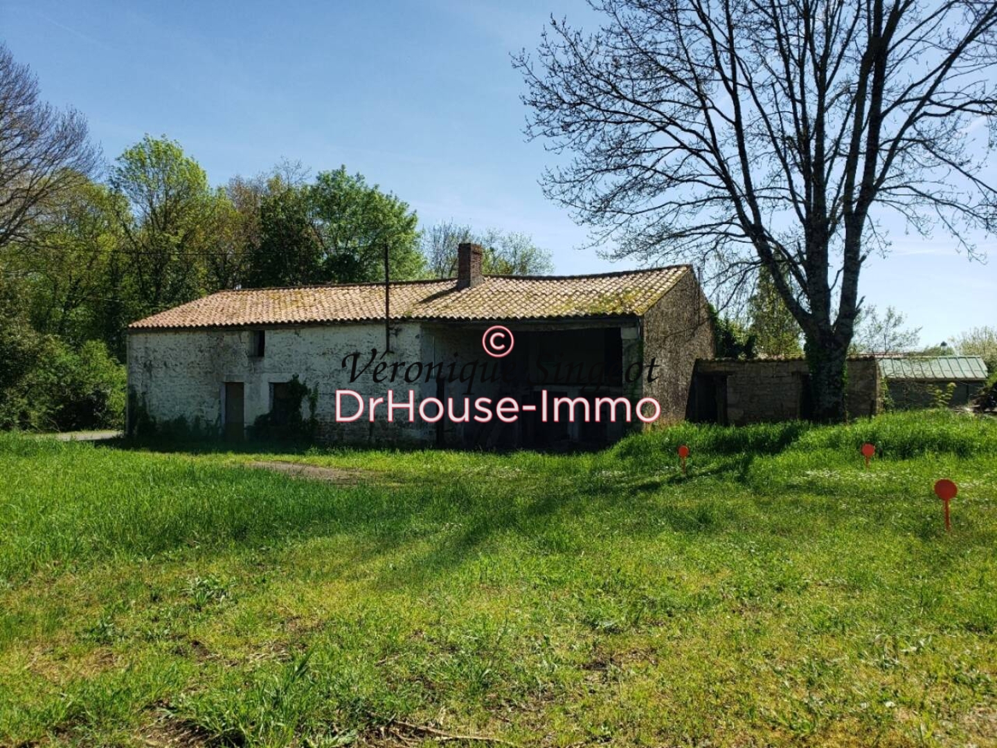 Photo 2 : Vente Maison 1 pièce Sainte-Hermine 70 m²