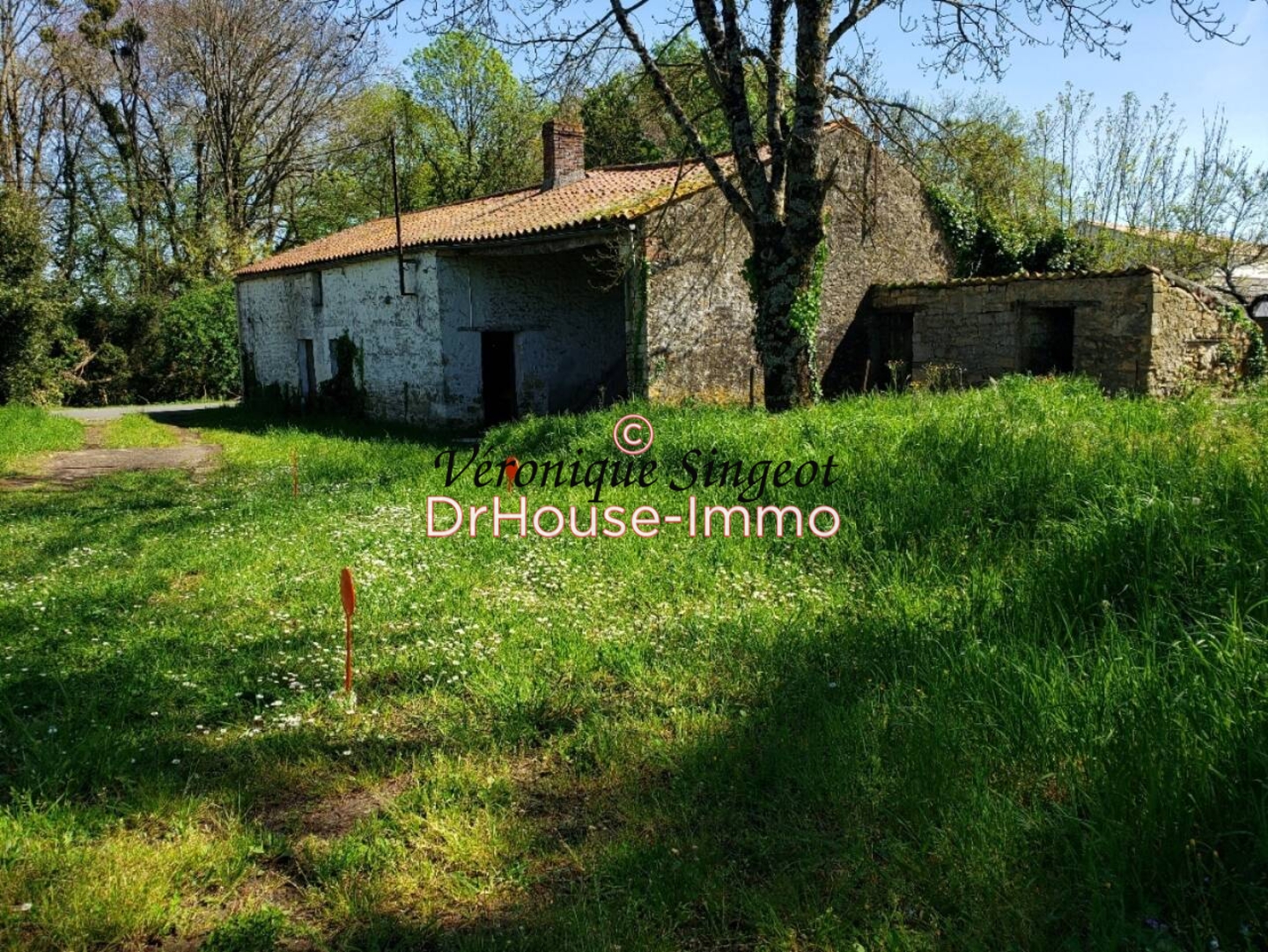 Photo 3 : Vente Maison 1 pièce Sainte-Hermine 70 m²