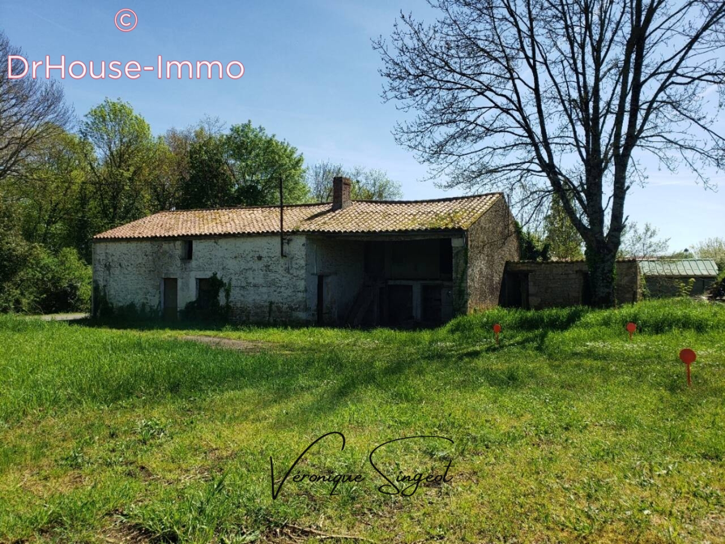 Photo 1 : Vente Maison 1 pièce Sainte-Hermine 70 m²