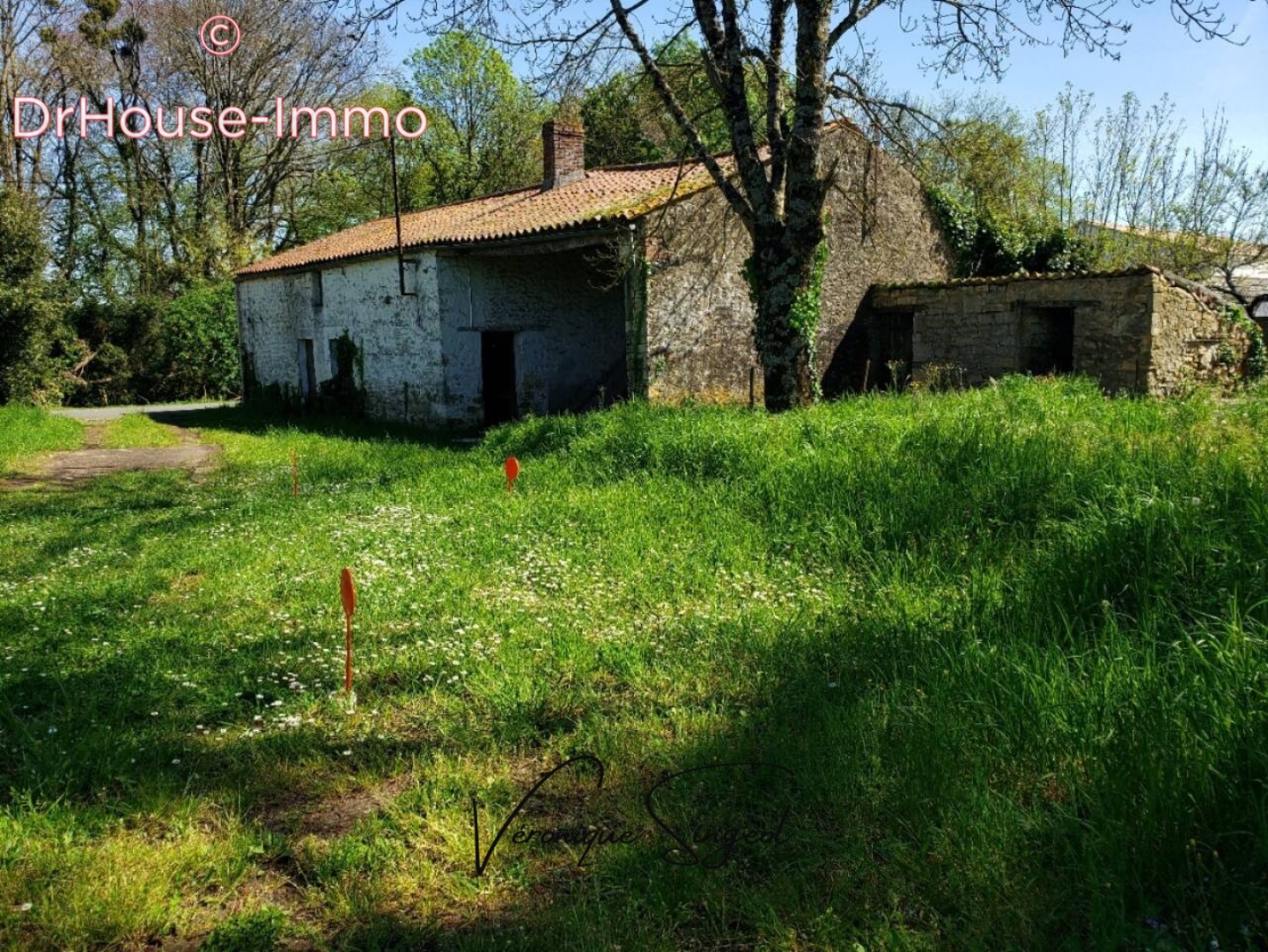 Photo 3 : Vente Maison 1 pièce Sainte-Hermine 70 m²