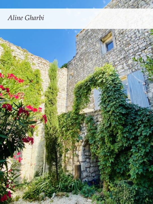 Photo 1 : Vente Maison 6 pièces La Garde-Adhémar 260 m²