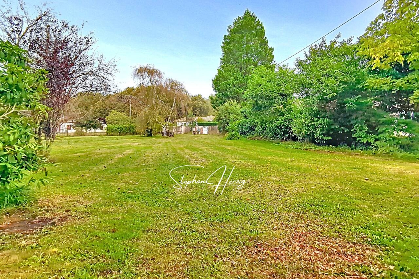 Photo 2 : Vente Terrain  Salles 899 m²