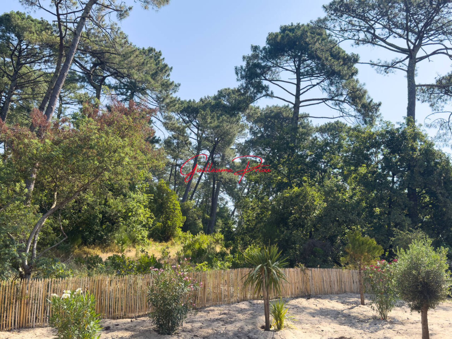 Photo 2 : Vente Maison 6 pièces Lège-Cap-Ferret 164 m²