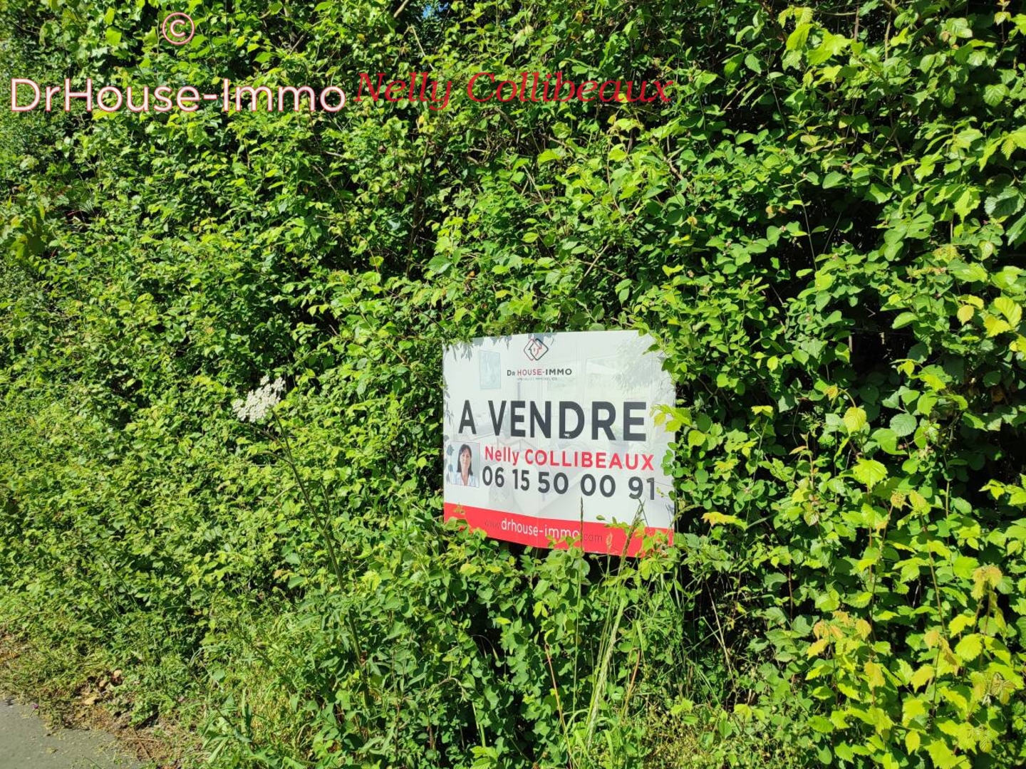Photo 1 : Vente Terrain Sainte-Marie-Laumont 1358 m²