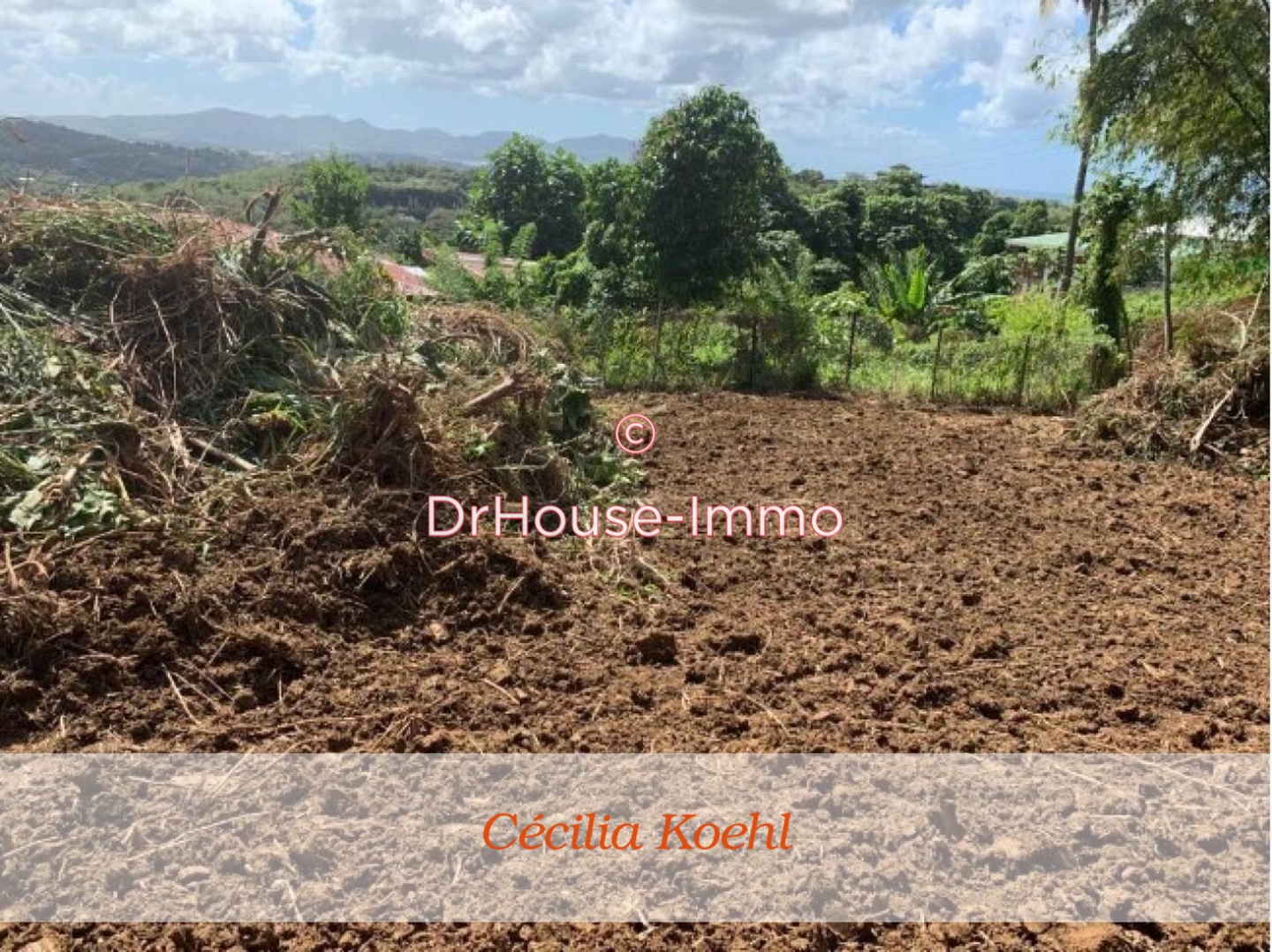 Photo 2 : Vente Terrain  Lamentin 2667 m²