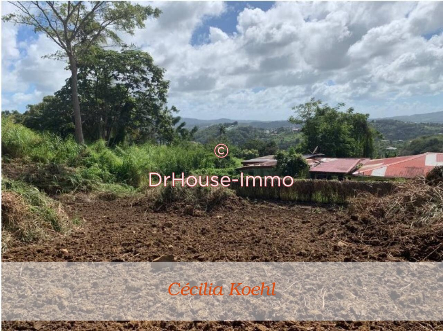 Photo 3 : Vente Terrain  Lamentin 2667 m²