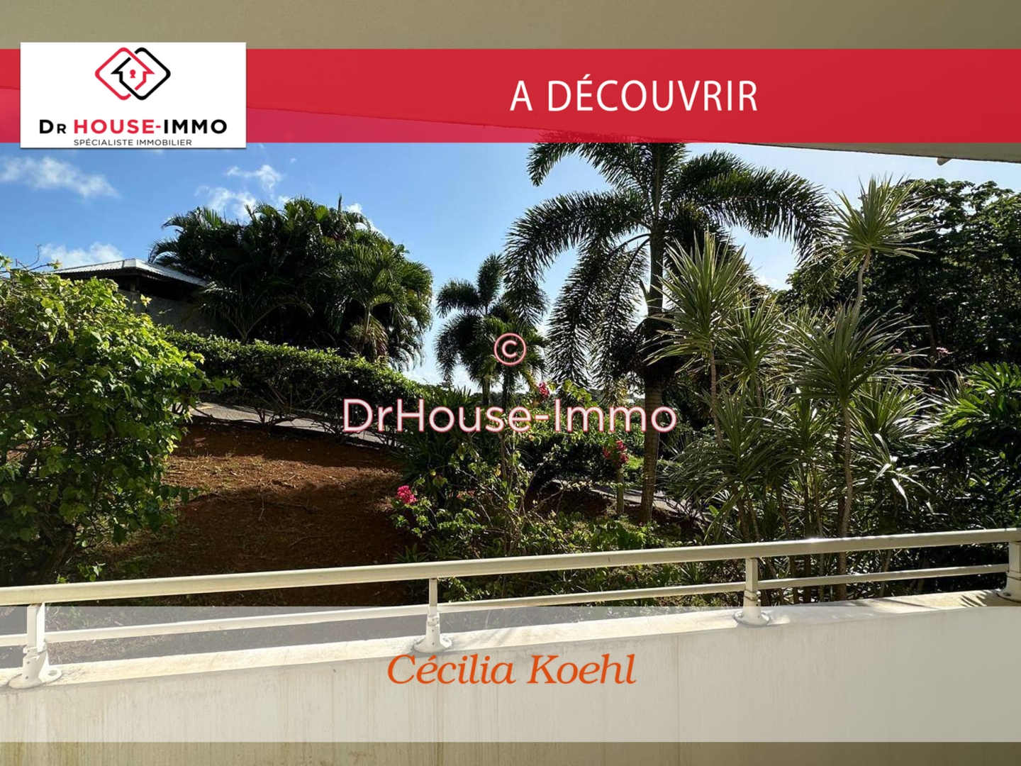 Photo 1 : Vente Appartement 1 pièce Robert 29 m²