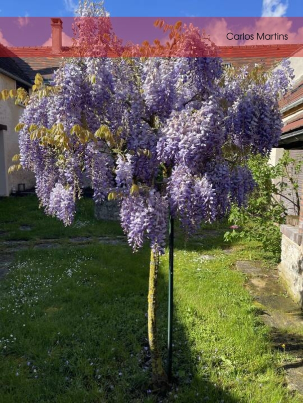 Photo 2 : Vente Maison 6 pièces Gironville 247 m²
