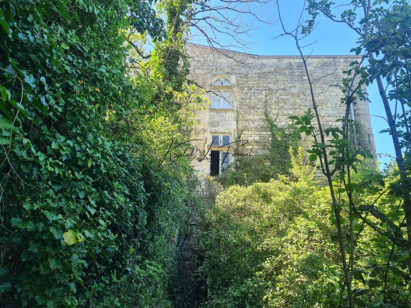 Photo 2 : Vente Château 6 pièces Coulonges-sur-l'Autize 279 m²