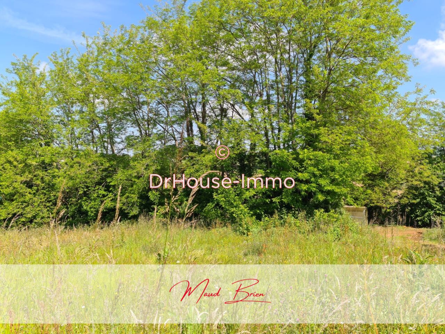 Photo 2 : Vente Terrain Montfort-en-Chalosse 876 m²