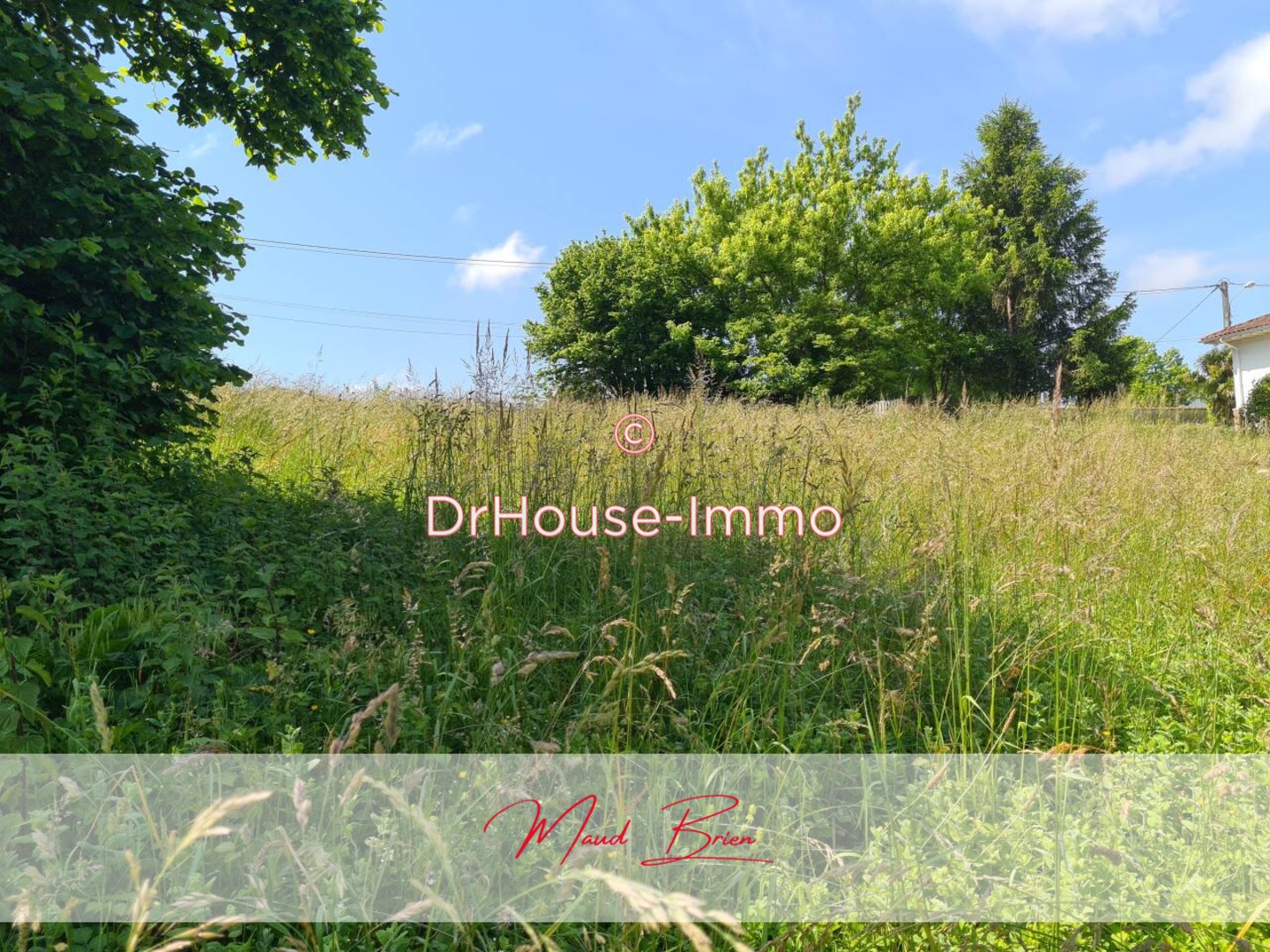 Photo 2 : Vente Terrain Montfort-en-Chalosse 954 m²