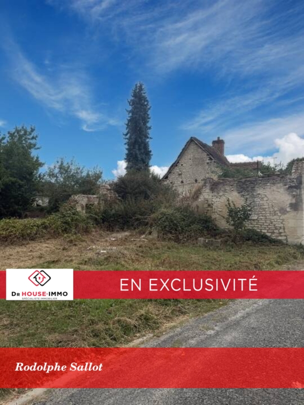 Photo 1 : Vente Terrain Martizay 1405 m²