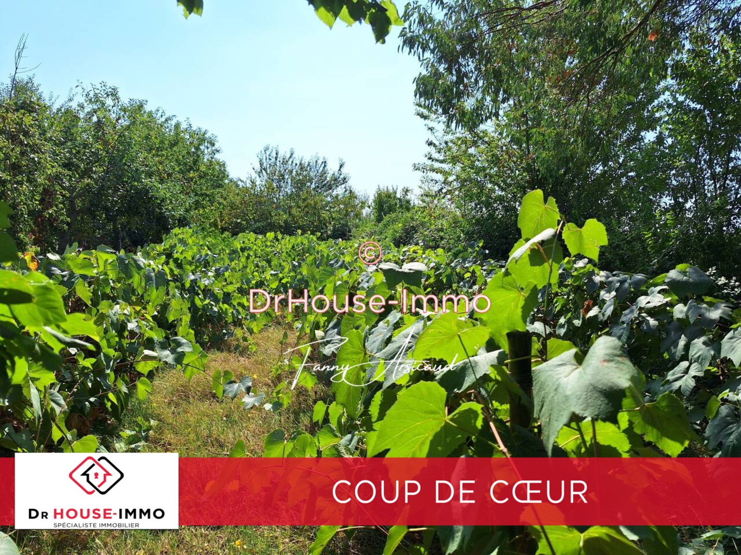 Image des la section Servies
