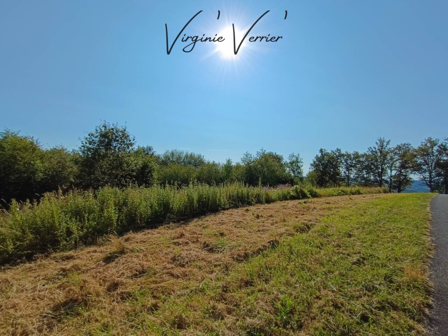 Photo 3 : Vente Terrain Louignac 3000 m²