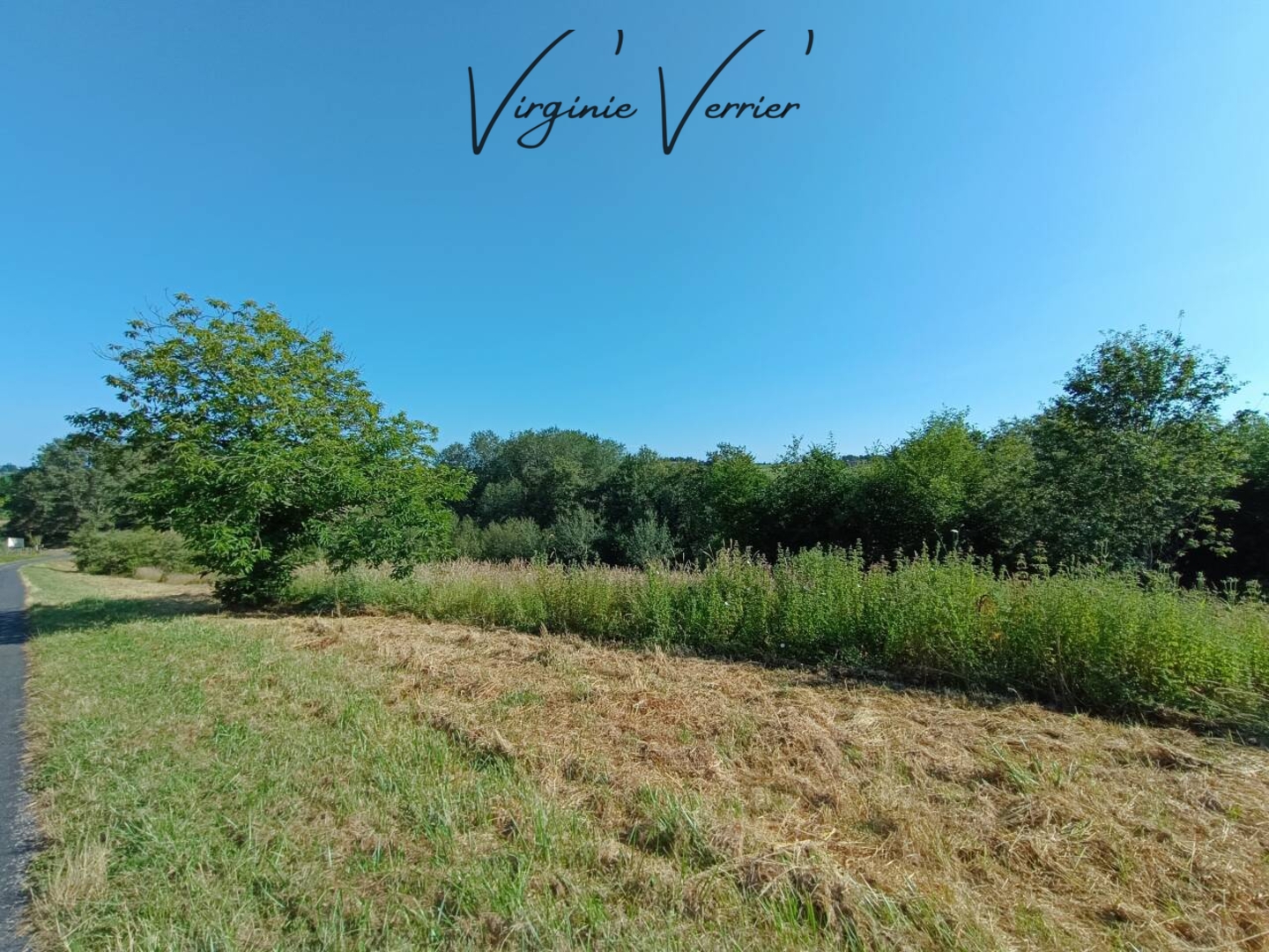 Photo 2 : Vente Terrain Louignac 3000 m²