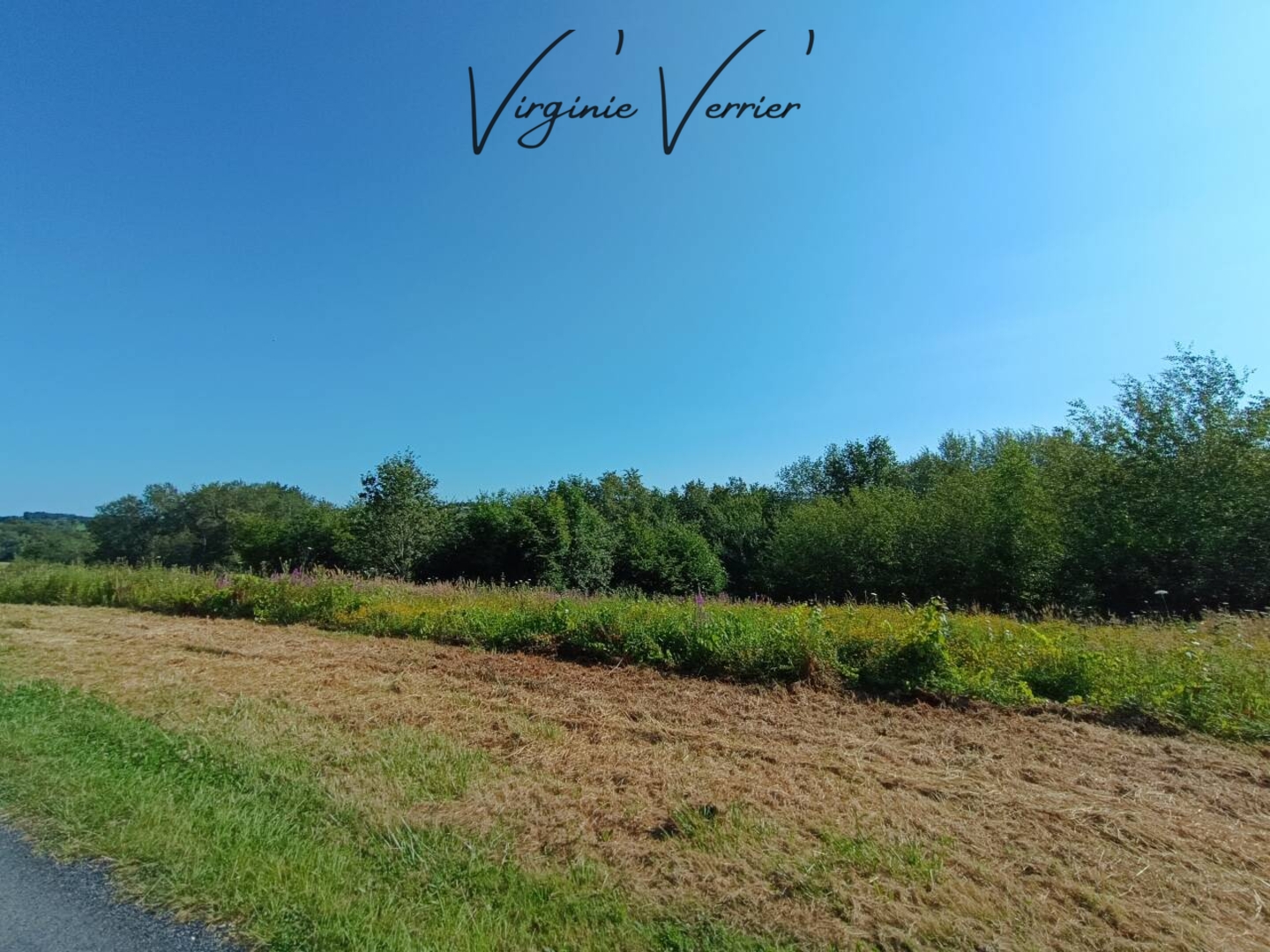 Photo 1 : Vente Terrain Louignac 3000 m²