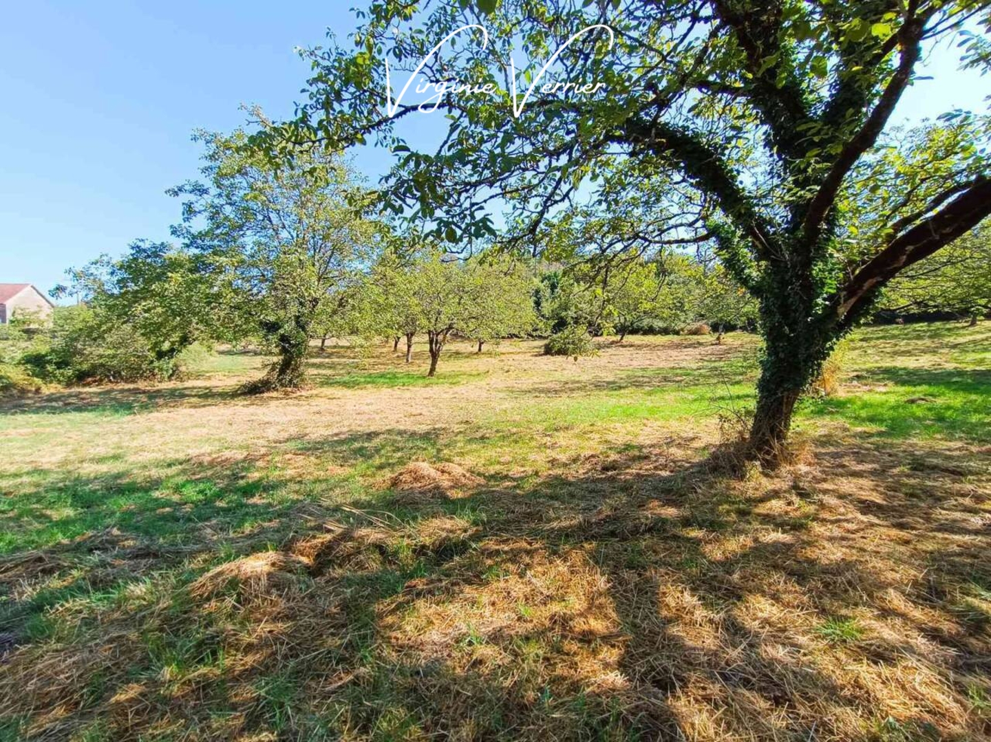 Photo 3 : Vente Maison 5 pièces Ayen 102 m²