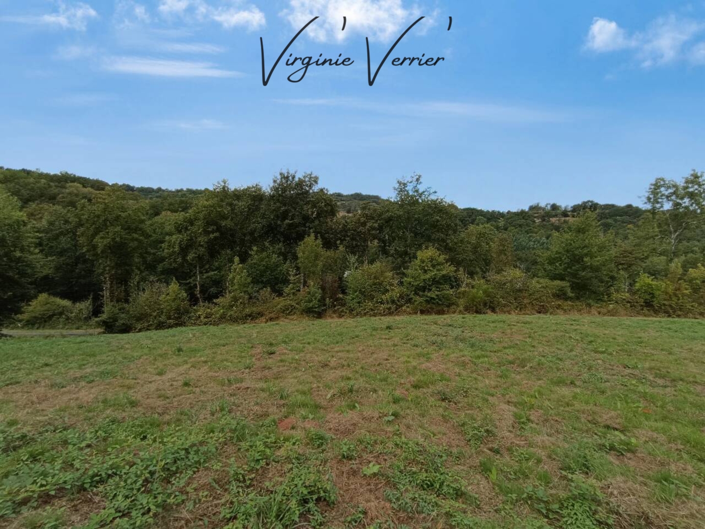 Photo 2 : Vente Terrain Saint-Cyprien 11205 m²