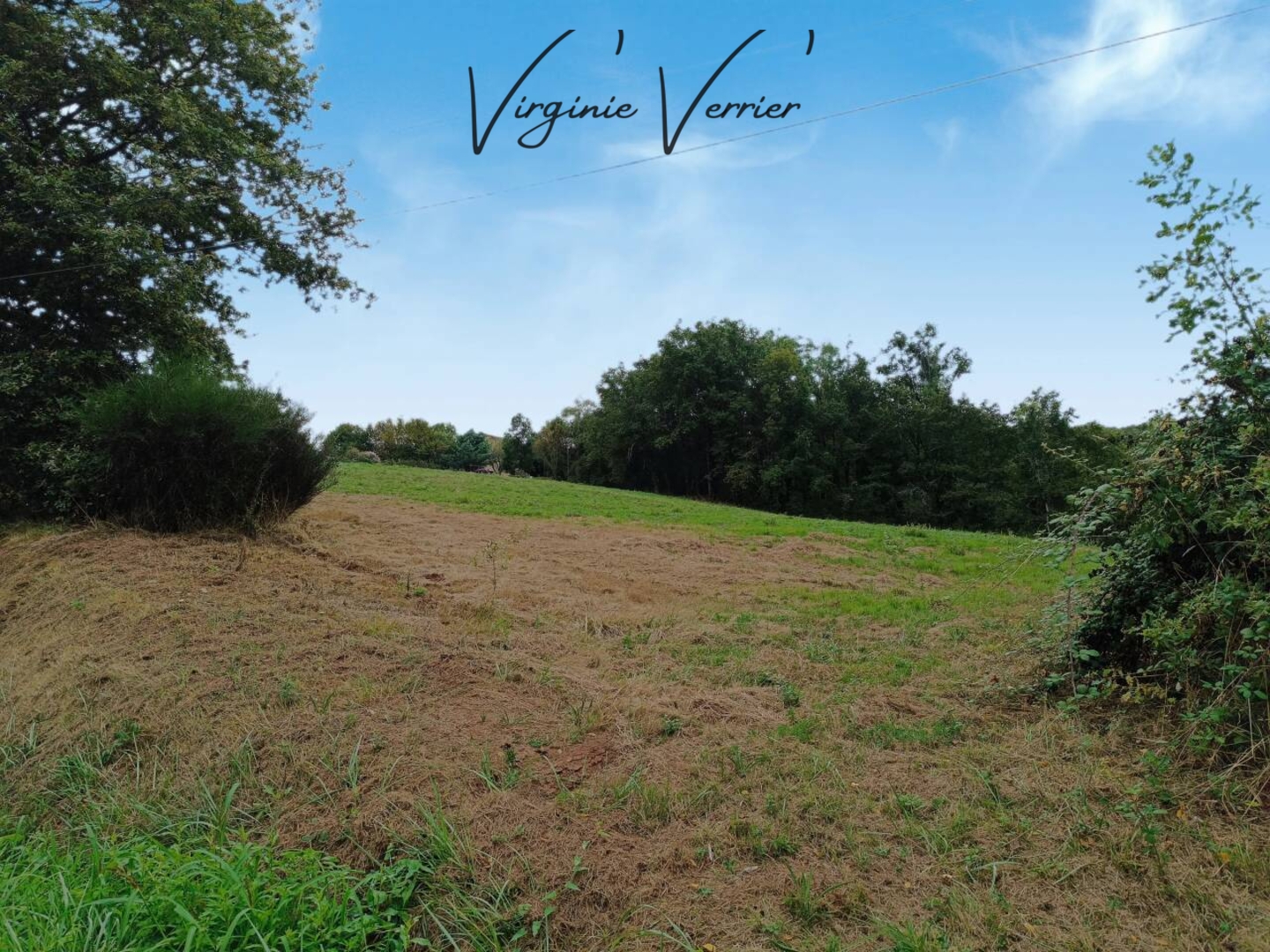 Photo 3 : Vente Terrain Saint-Cyprien 11205 m²