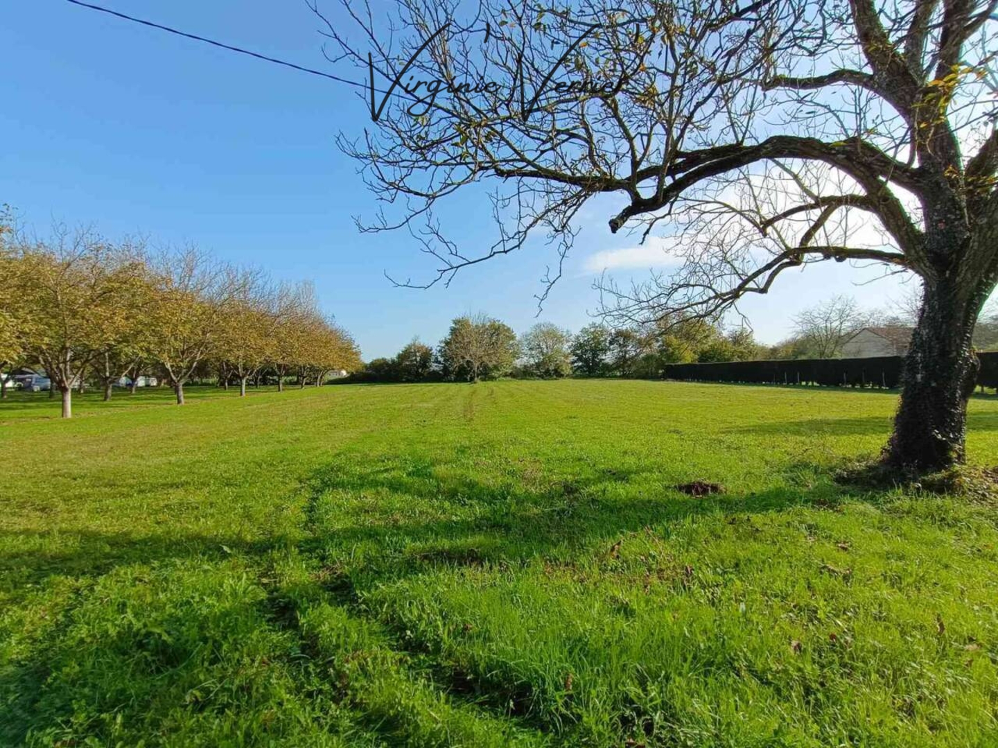 Photo 3 : Vente Terrain Pazayac 1361 m²