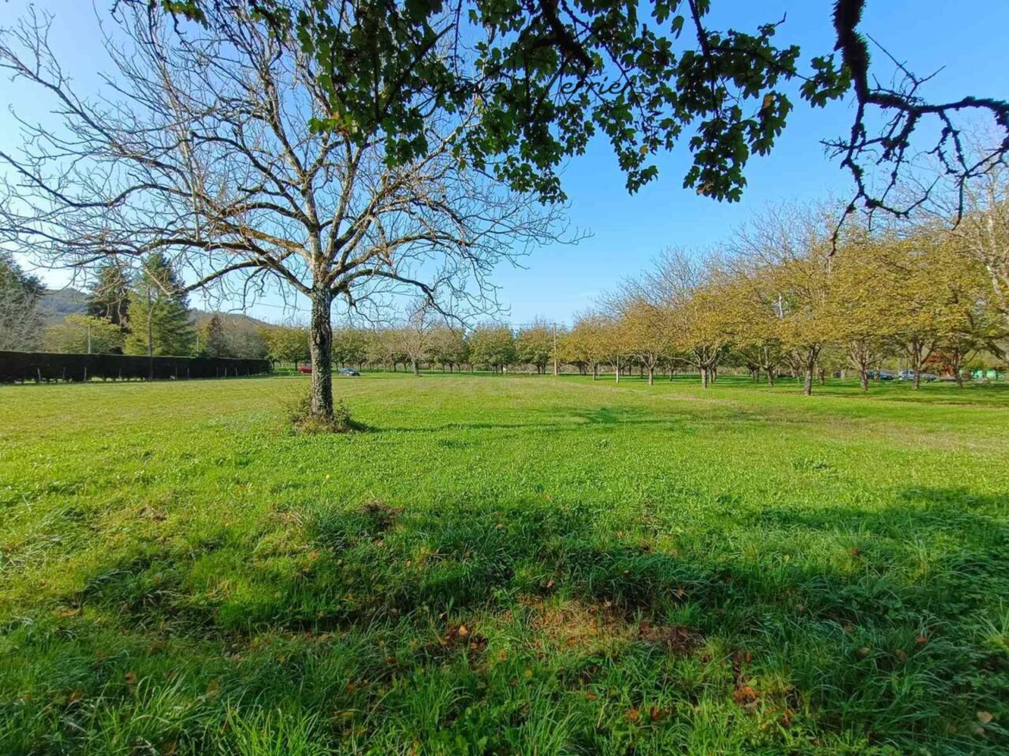 Photo 1 : Vente Terrain Pazayac 2005 m²