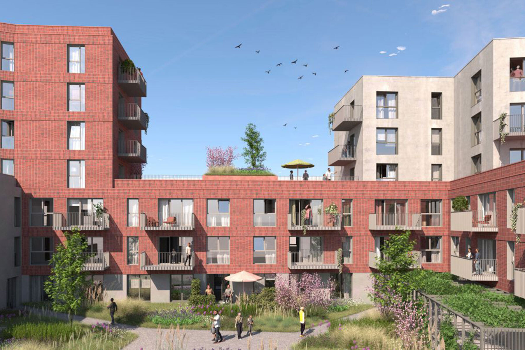 Programme neuf : Lille (59000)