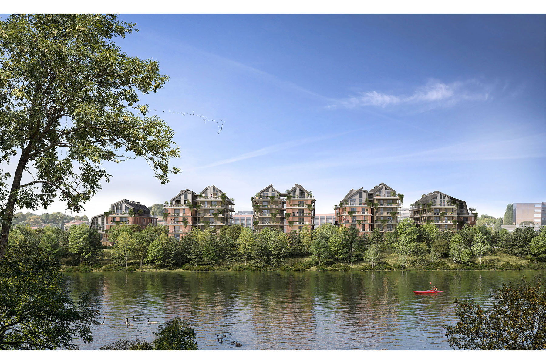 Programme neuf : Toulouse (31300)