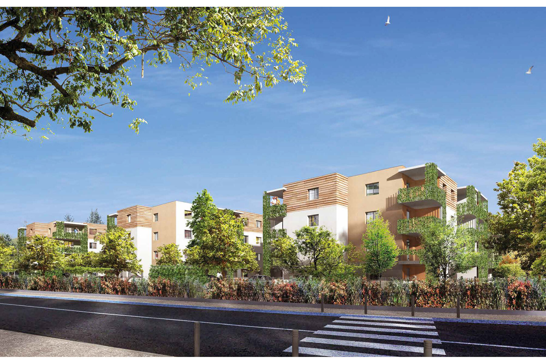 Programme neuf : Narbonne (11100)