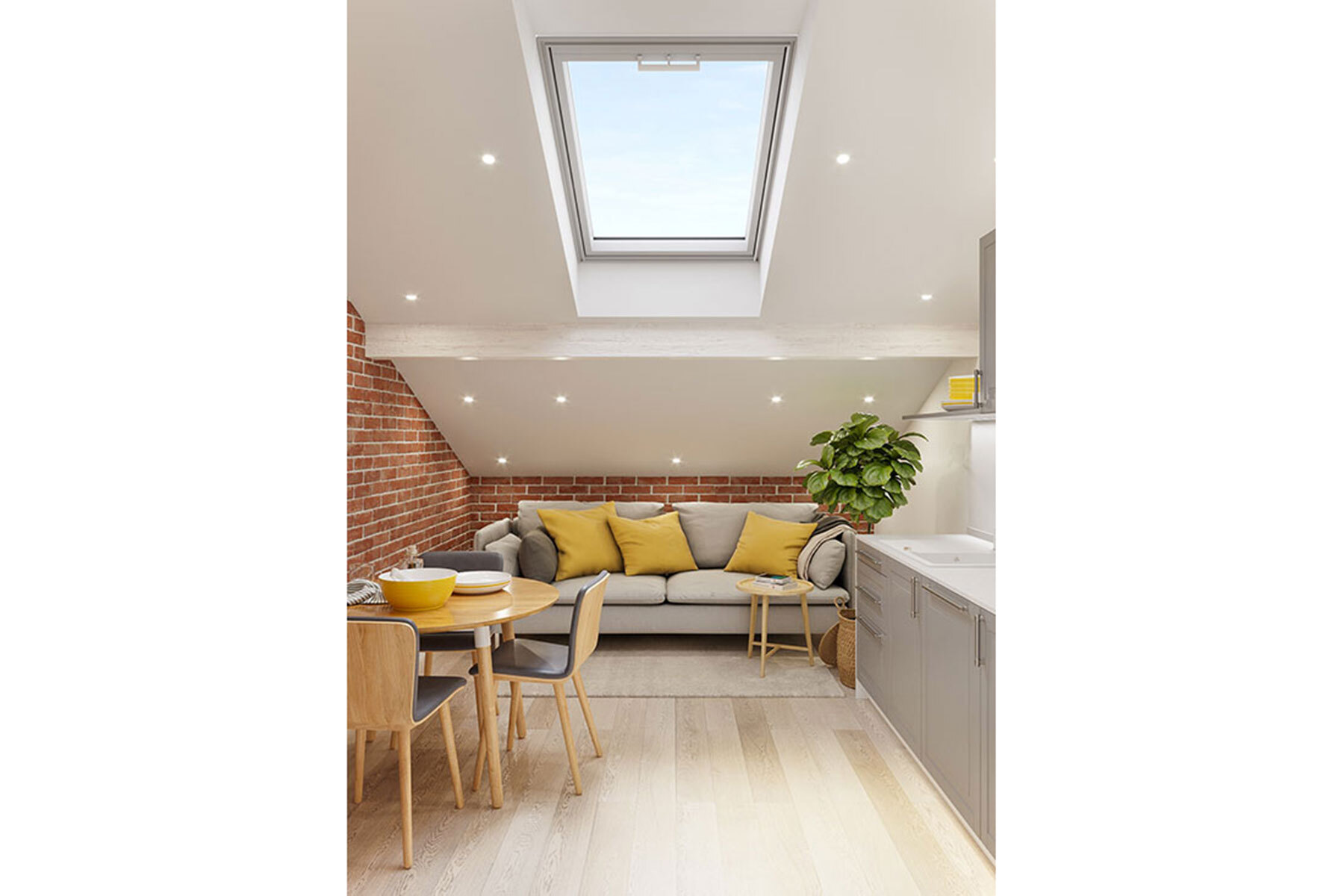 Programme neuf : Toulouse (31000)