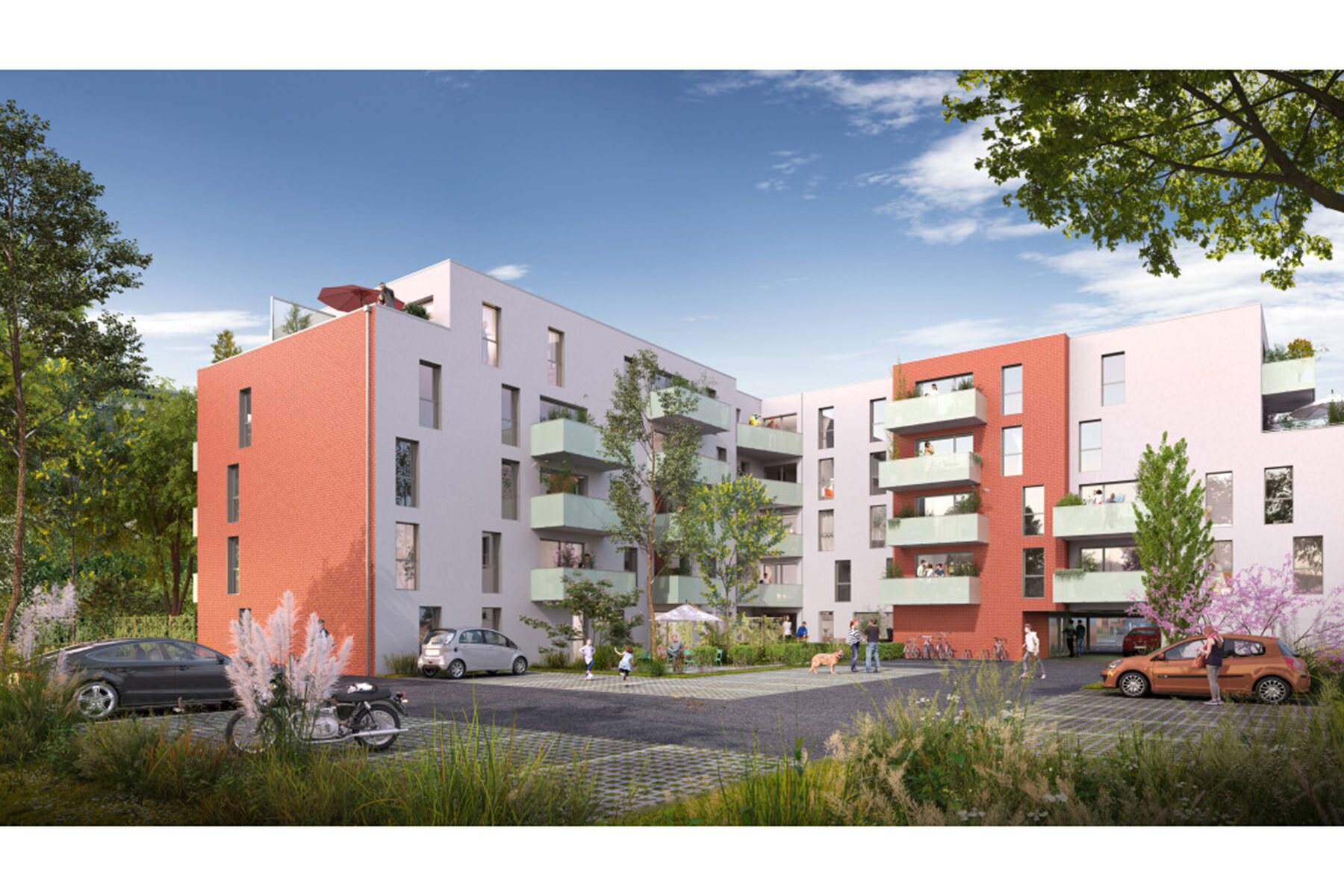 Programme neuf : Roubaix (59100)