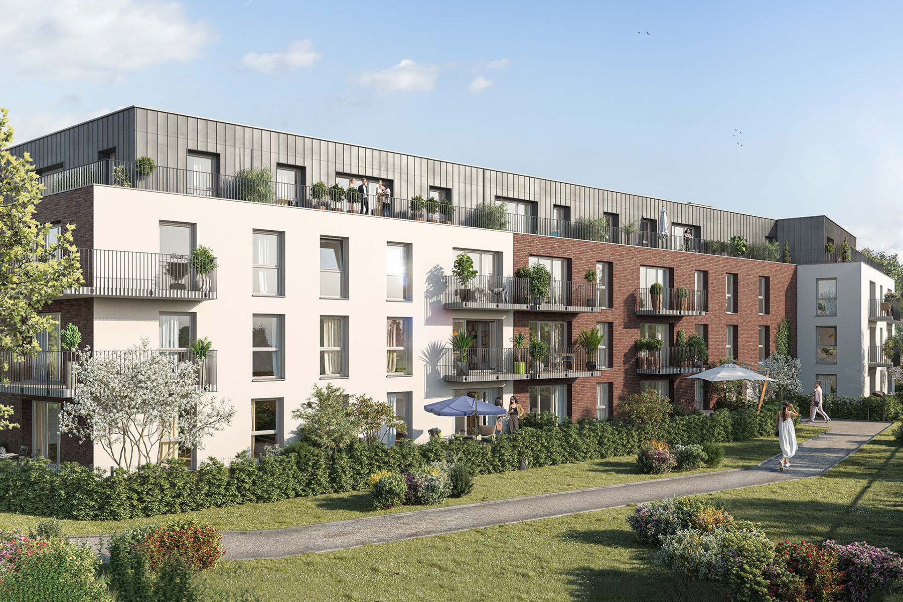 Programme neuf : Douai (59500)