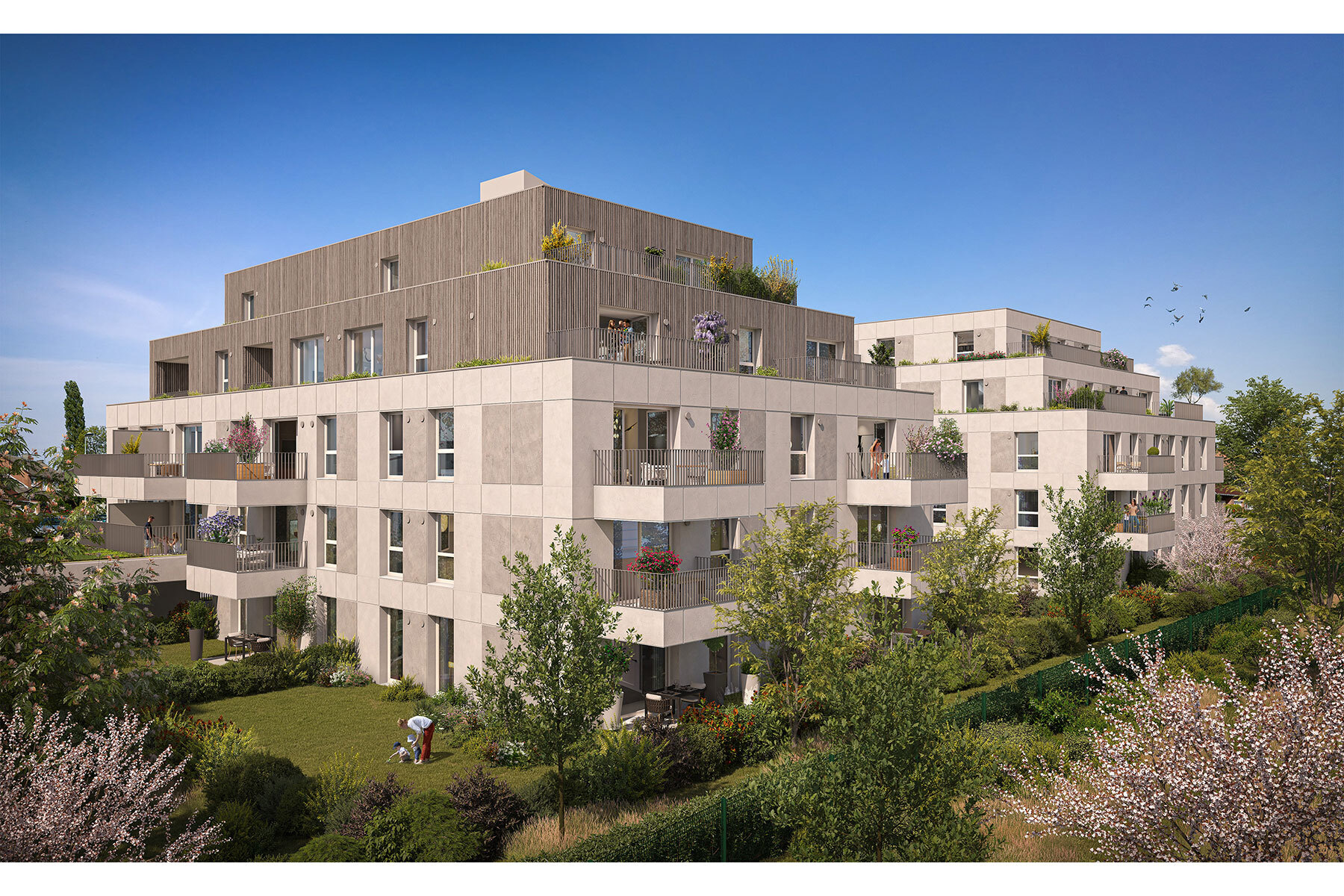 Programme neuf : Bischheim (67800)