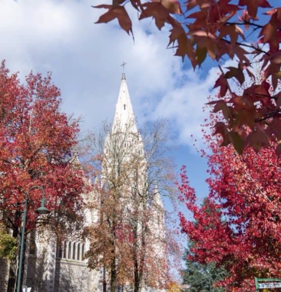 Programme neuf : NEOE - Orvault(44700)