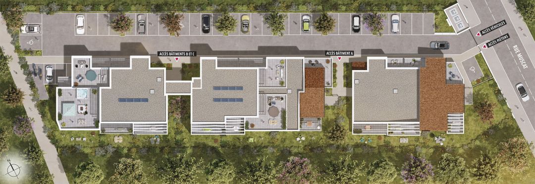 Programme neuf : ARBO - Sauvian(34410)