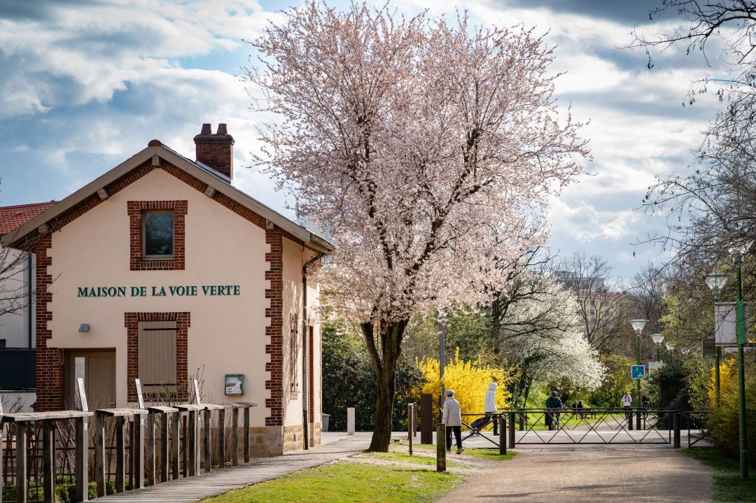 Programme neuf : Le calistÉ (69300)