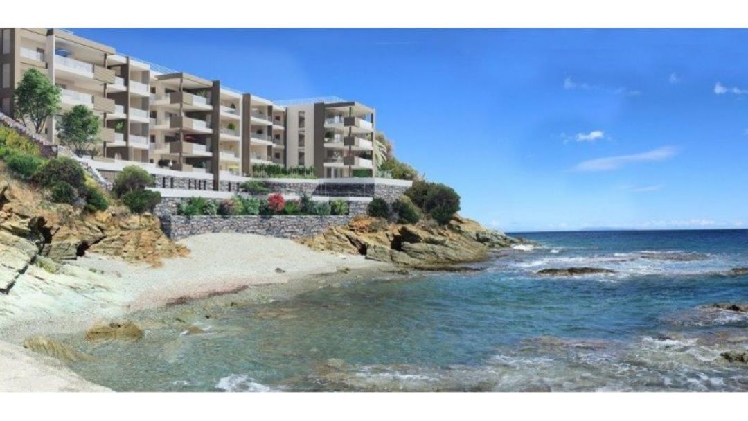 Programme neuf : PIET - San martino di lota(20200)