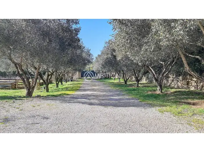 Maison 5 pièces de 162 m² - Bagnols-en-Forêt (83600)