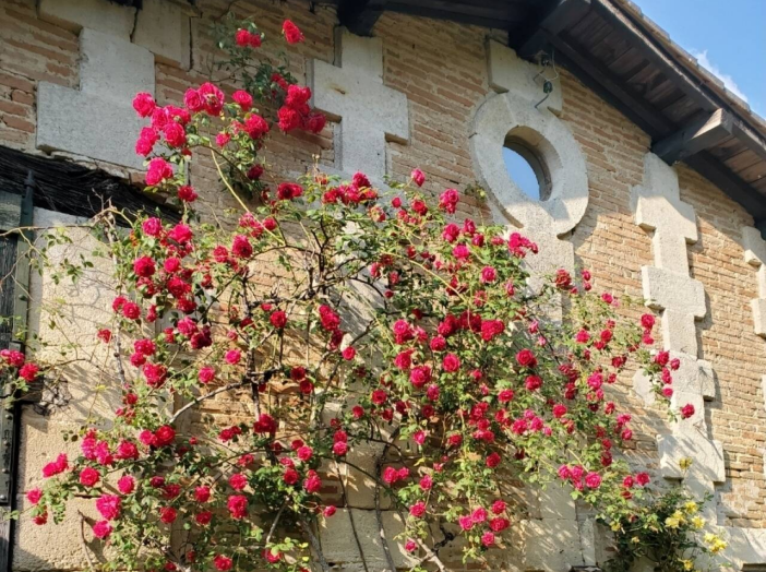 Maison de 240m² - 8 pièces