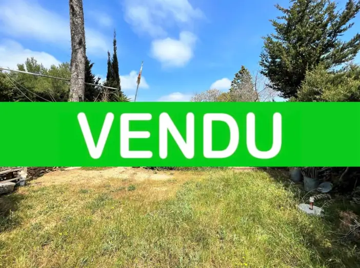 Image des la section Servies