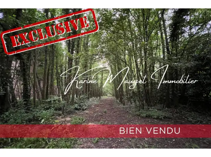 Image des la section Servies