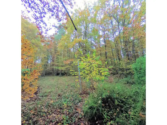 Image des la section Servies