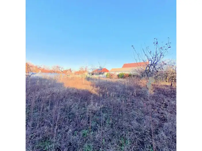 Image des la section Servies