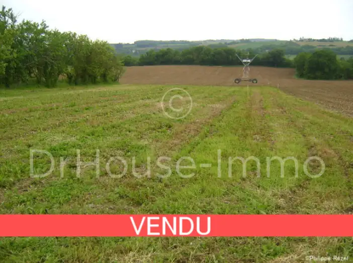 Image des la section Servies