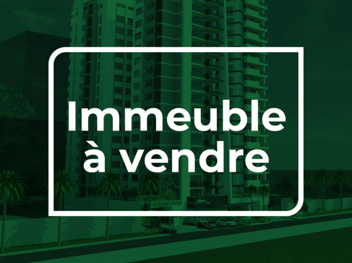 Immeuble de 330m² - 9 pièces