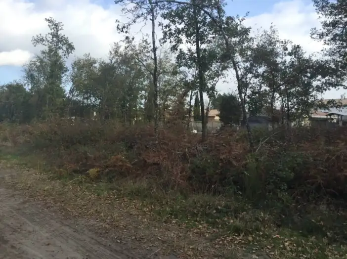 Image des la section Servies