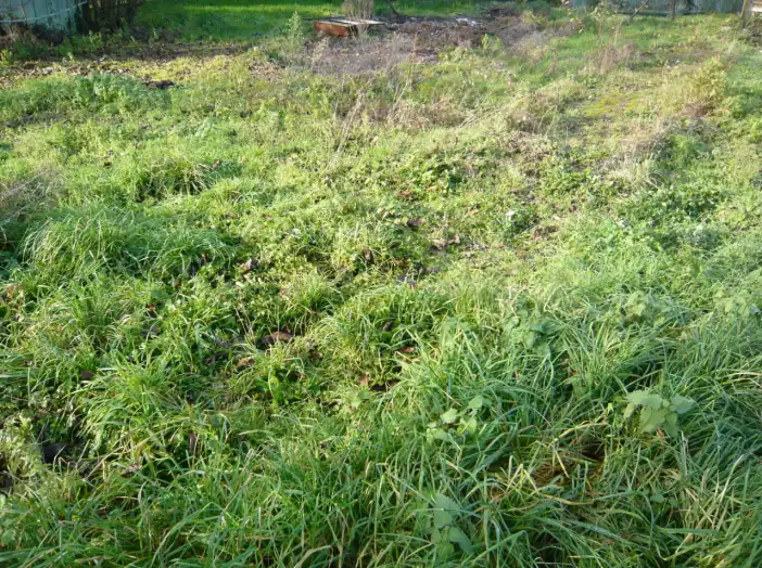 Image des la section Servies