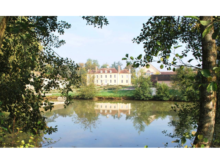 Hôtel particulier 12 pièces de 555 m² - Falaise (14700)