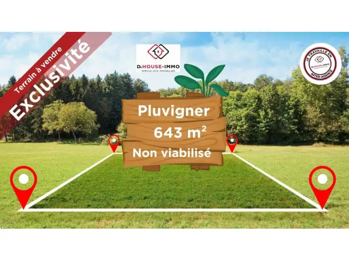 Terrain de 643 m² - Pluvigner (56330)