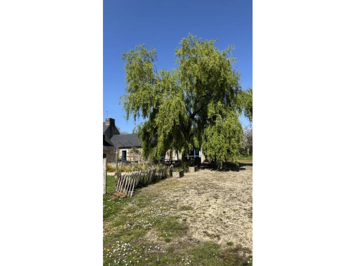 Maison de 295m² 6 pièces